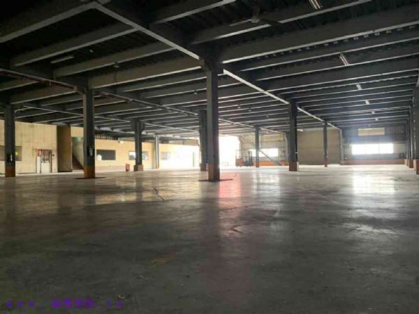 桃園市新屋區廠房桃園市新屋區廠房出租-照片2