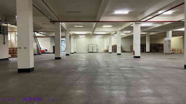 桃園市觀音區廠房桃園市觀音區廠房出租-照片2