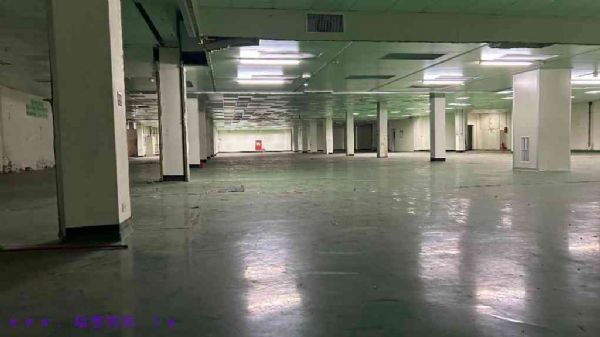 桃園市中壢區廠房桃園市中壢區廠房出租-照片3