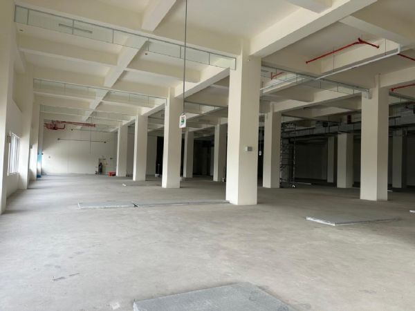 新竹縣湖口鄉廠房新竹縣湖口鄉廠房出租-照片2